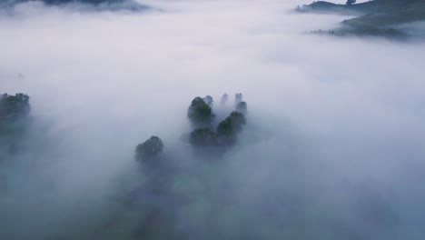 aerial footage taken while flying over a valley covered in fog seeing just the heads of the trees