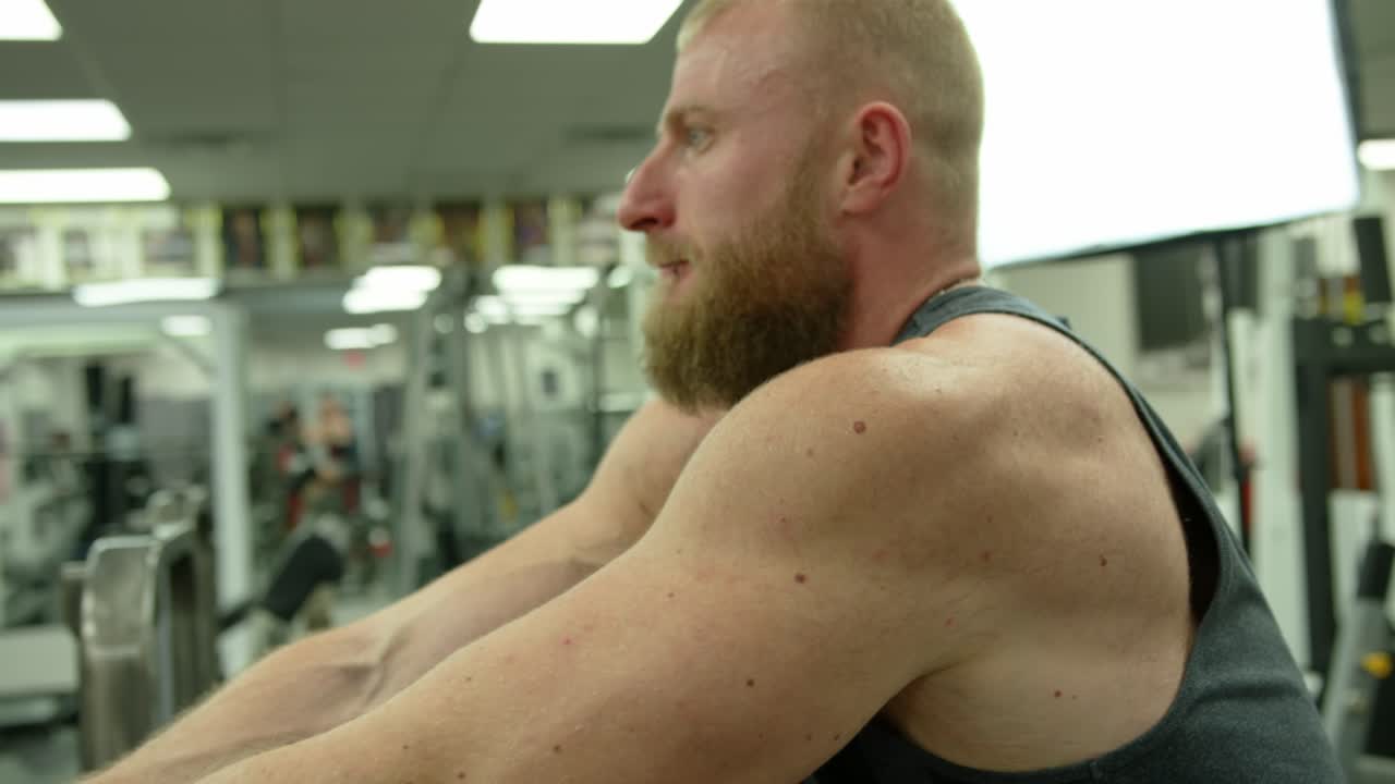 Gym Working Training. Fit Muscle Body Workout