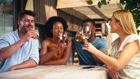 group of smiling multi-cultural friends outdoors at home drinking wine together