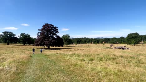 Group-of-walkers-are-walking-down-a-path-in-Stanway-on-the-route-of-the-Cotswold-Way,-a-long-distance-footpath-in-England