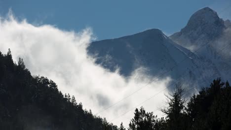 pyrenees video 08