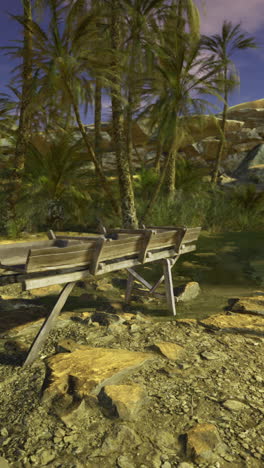 desert oasis with a wooden bench surrounded by palm trees at sunset