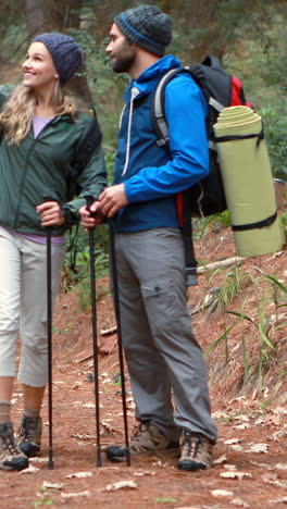 hiker couple hiking in forest