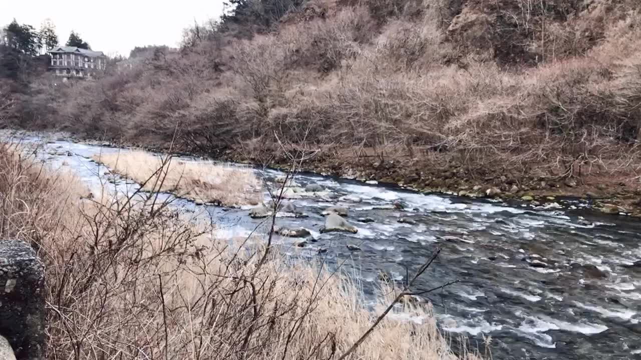 beautiful creek in Japan pan left timeless