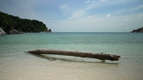 Driftwood-on-Most-Beautiful-Tropical-Paradise-Beach,-Beautiful-Waves-and-Crystal-Clear-Water,-Dolly-Right-Left-Pan-Cinematic-Shot