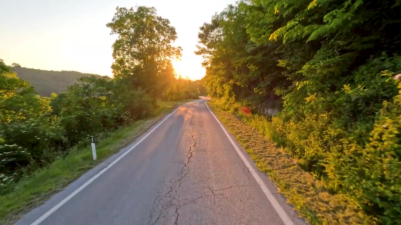 Prospettiva in prima persona mentre si guida su una stretta strada asfaltata attraverso lussureggianti foreste verdi all'ora d'oro.