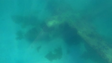 plane of pablo escobar underwater cartagena colombia submerged touristic attraction