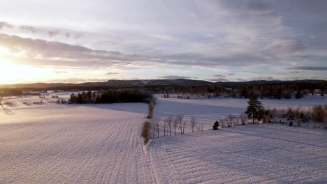 сcultivated zones en norvège dormant sous l'épaisse neige