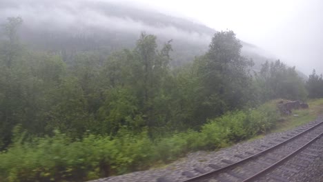 Ferrocarril-De-Paso-Blanco-En-Alaska