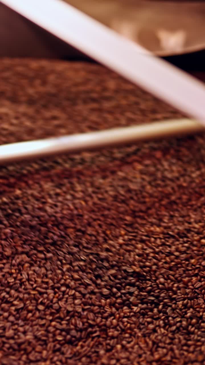 Video verticale di chicchi di caffè appena tostati che si raffreddano all'interno di una teglia di tostatura, con un movimento fluido laterale della telecamera. Ricca texture marrone-rossastra, bassa profondità di campo e consistenza dettagliata