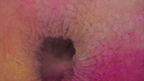 this is the birth of a very expensive floral perfume, apply a dot atop each ear  -  for more, search  "abstractvideoclip" using the quotation marks