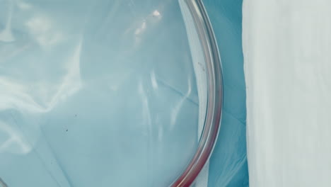 sangre en tubos de derivación cardiopulmonar. parte de la máquina corazón-pulmón apoya el corazón y los pulmones del paciente manteniendo el funcionamiento adecuado de los órganos vitales
