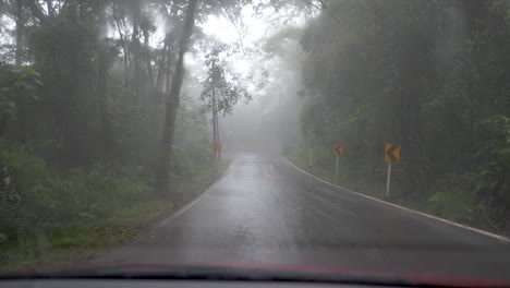 conduciendo en el bosque con niebla y lluvia