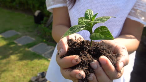 mujer sosteniendo brote de árbol de planta en cámara lenta.