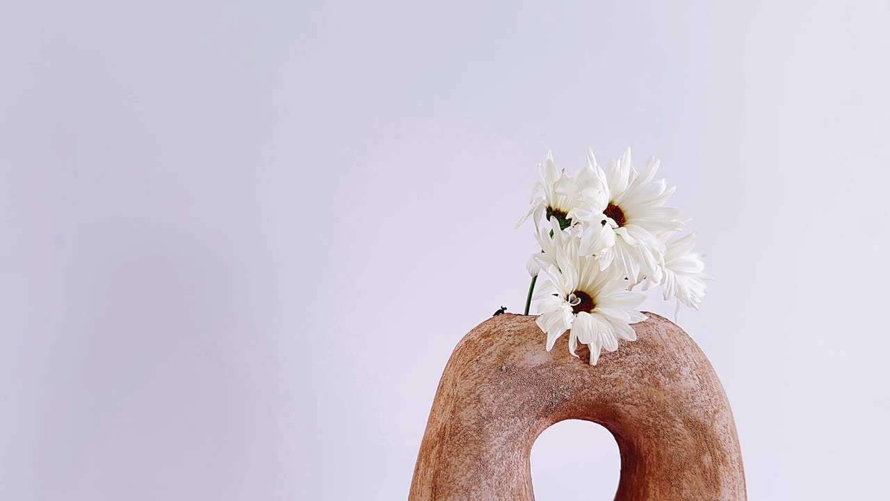 margaritas blancas en un jarrón marrón único