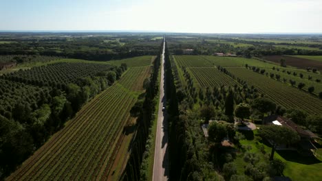 Video-Aereo-De-Viale-Dei-Cipressi-En-Bolgheri,-Italia