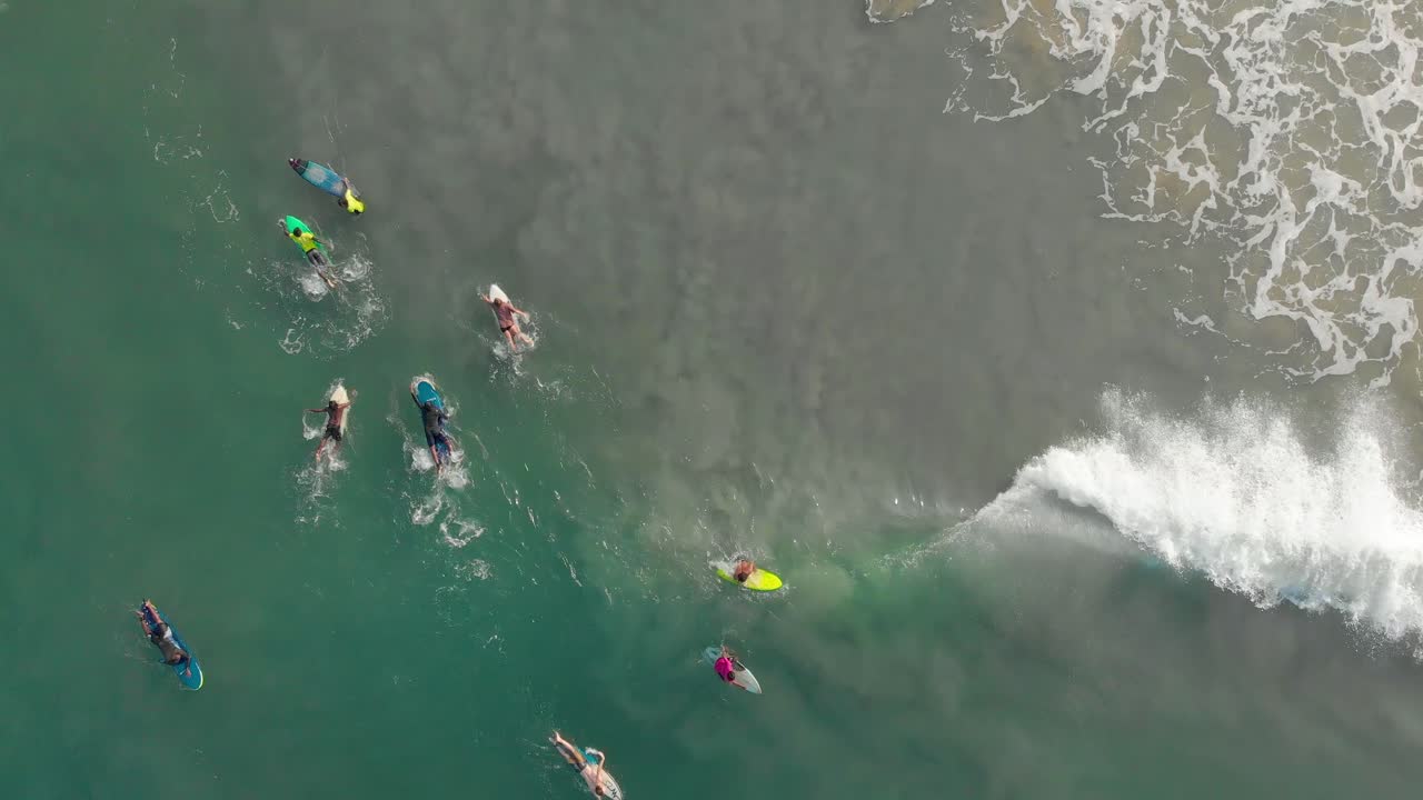 surfistas en sus tablas de surf, flotando y aprendiendo a surfear con las olas en movimiento cerca de la orilla