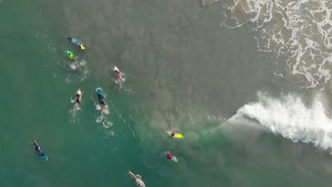 surfers on their surfing boards, floating and learning surfing with the moving waves near the shore