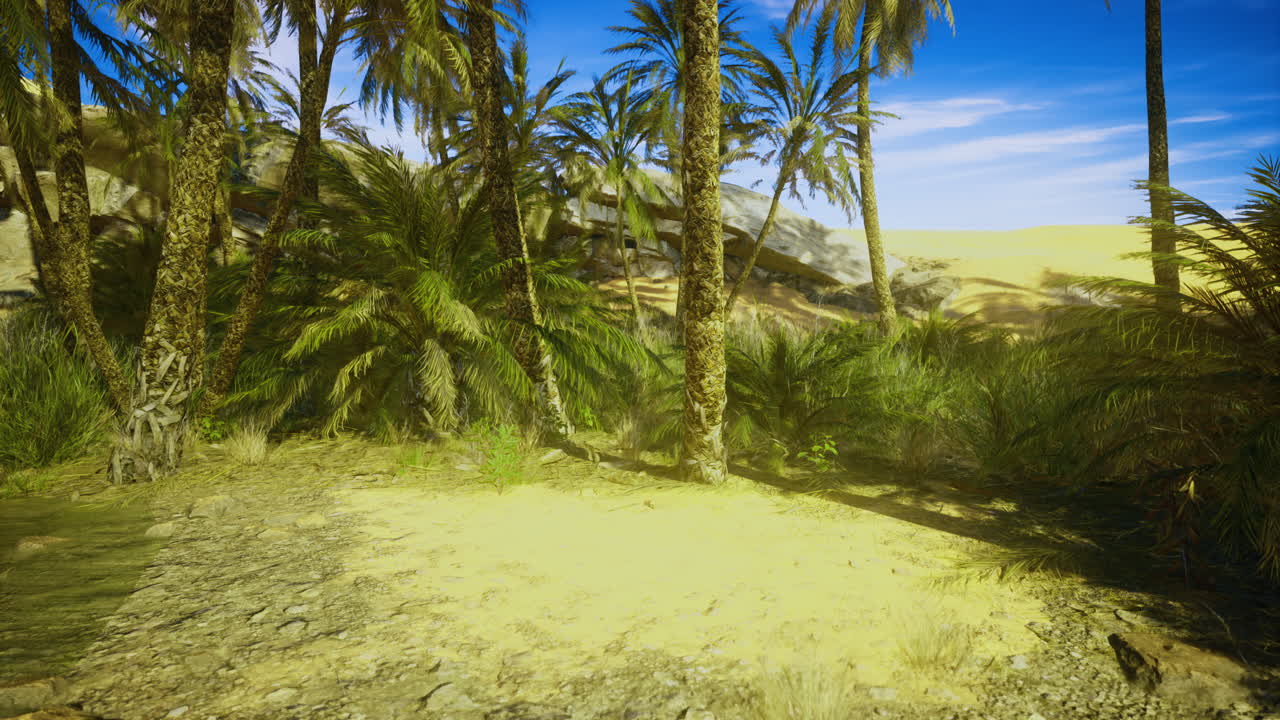Lush tropical landscape with palm trees and sandy terrain under clear sky