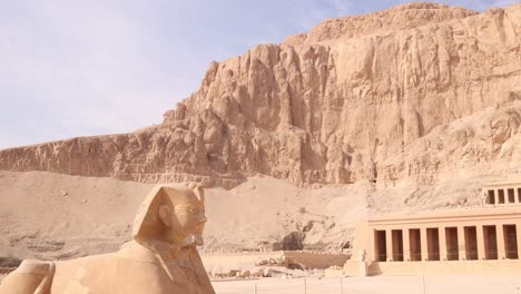 la antigua esfinge guarda el templo funerario de hatshepsut en luxor, egipto.