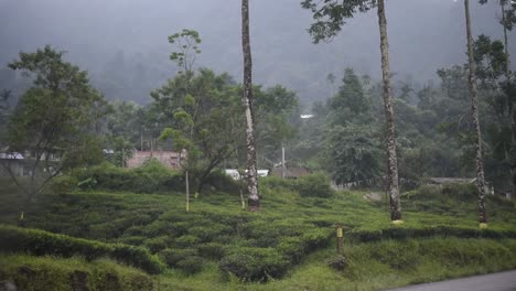 Handheld-shot-of-traveling-on-foggy-curvy-mountain-road,-shot-from-driver's-seat,-vacation-trip-to-hills-and-tea-garden