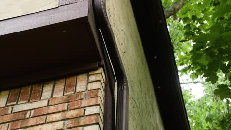 bees make a nest in a house and are flying in out