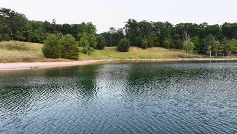 Pine-trees-on-the-shoreline-of-a-lake