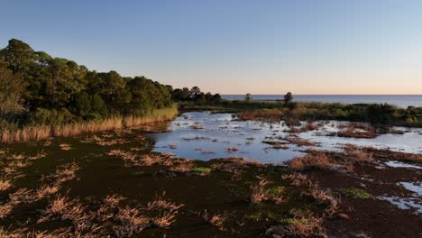 Aerial-view-of-marsh-near-mobile-Bay-in-Alabama