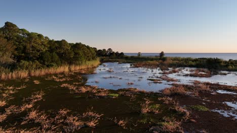 vista aérea del pantano cerca de la bahía móvil en alabama