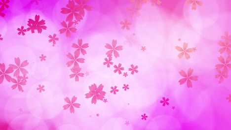 pink petals. abstract falling cartoon cherry blossoms. spring background. looped animation.