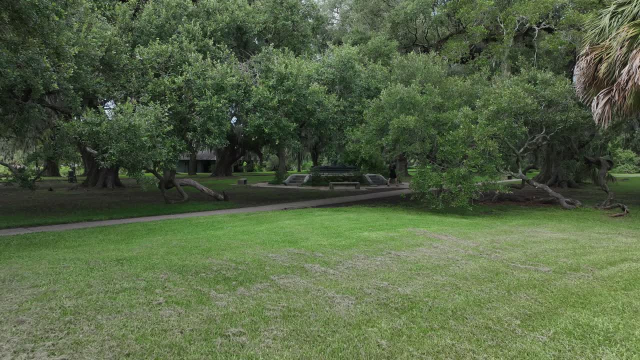 подход с воздуха к фонтану с собакой, играющей в воде