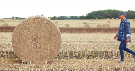 smiling farmer rolling hay bale and gesturing in farm 2