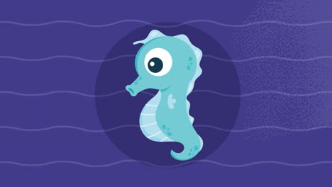 blue seahorse swiming sealife animation