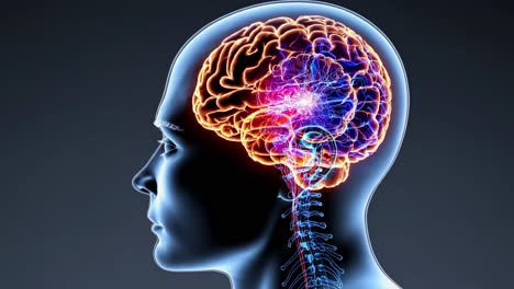 side view of a human head with a glowing brain and nervous system, illustrating neural activity