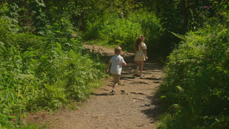 girl and boy run along ground forest path on summer day backside view. couple of siblings rests in nature moving together through sunlit wood slow motion