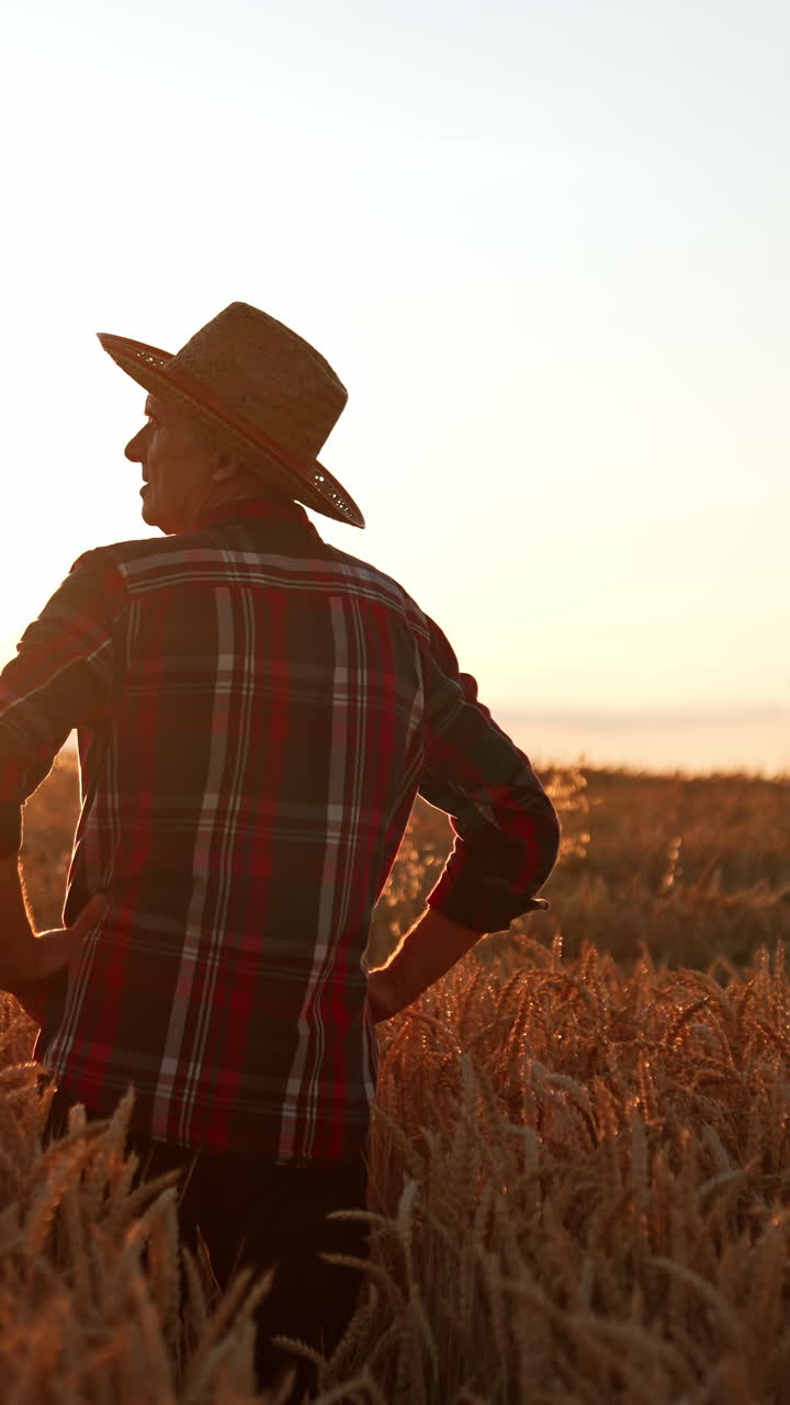 Male farmer in a hat stands in the field with his hands on the hips. Man looks at beautiful farmland at sunset. Vertical video