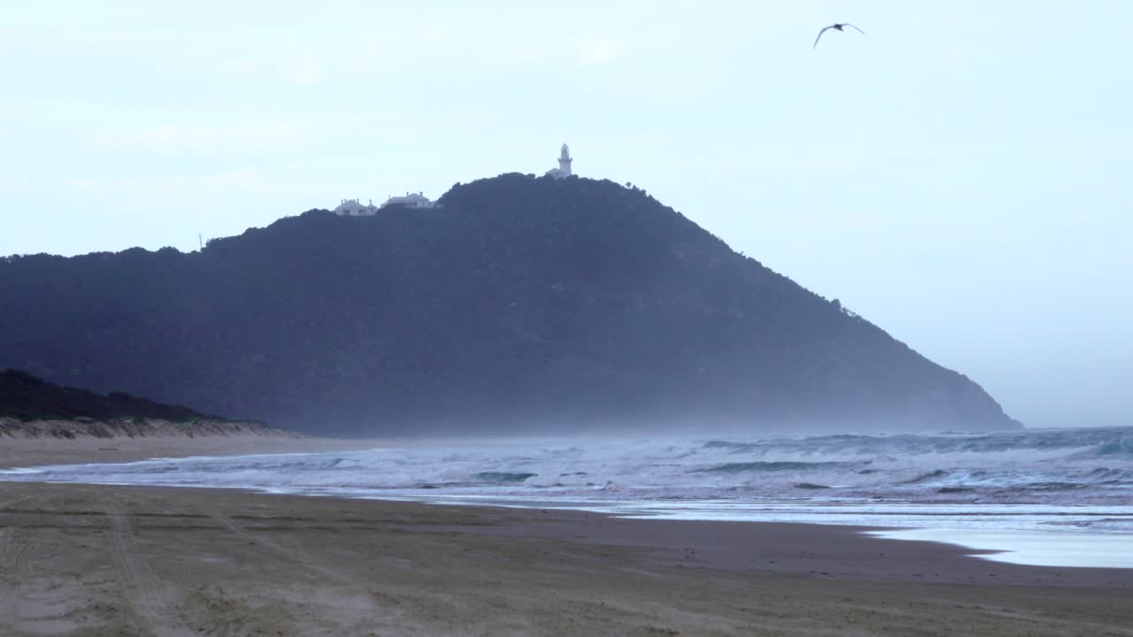 una sola gaviota sobrevuela la playa del faro, port macquarie, australia