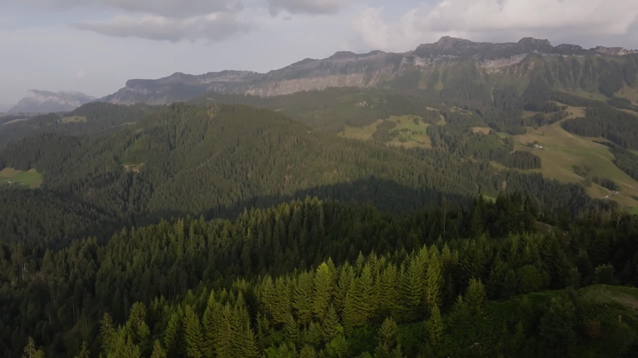 Wide aerial shot of a vast forested mountain landscape with valleys and clear blue sky. Represents nature, wilderness, conservation, and the beauty of untouched environments