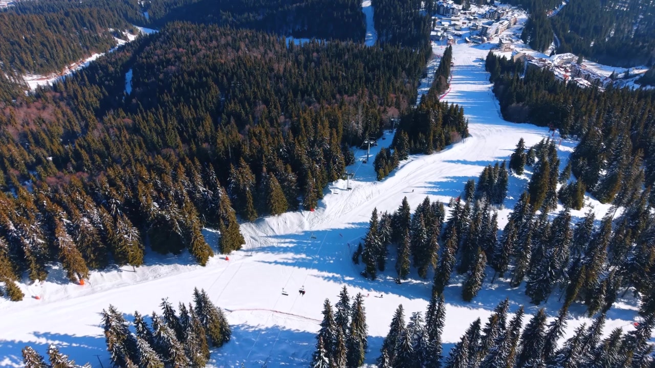 Veduta aerea delle piste da sci e della foresta. La chiara luce del sole proietta lunghe ombre dai pini attraverso sentieri di neve bianca sulla montagna