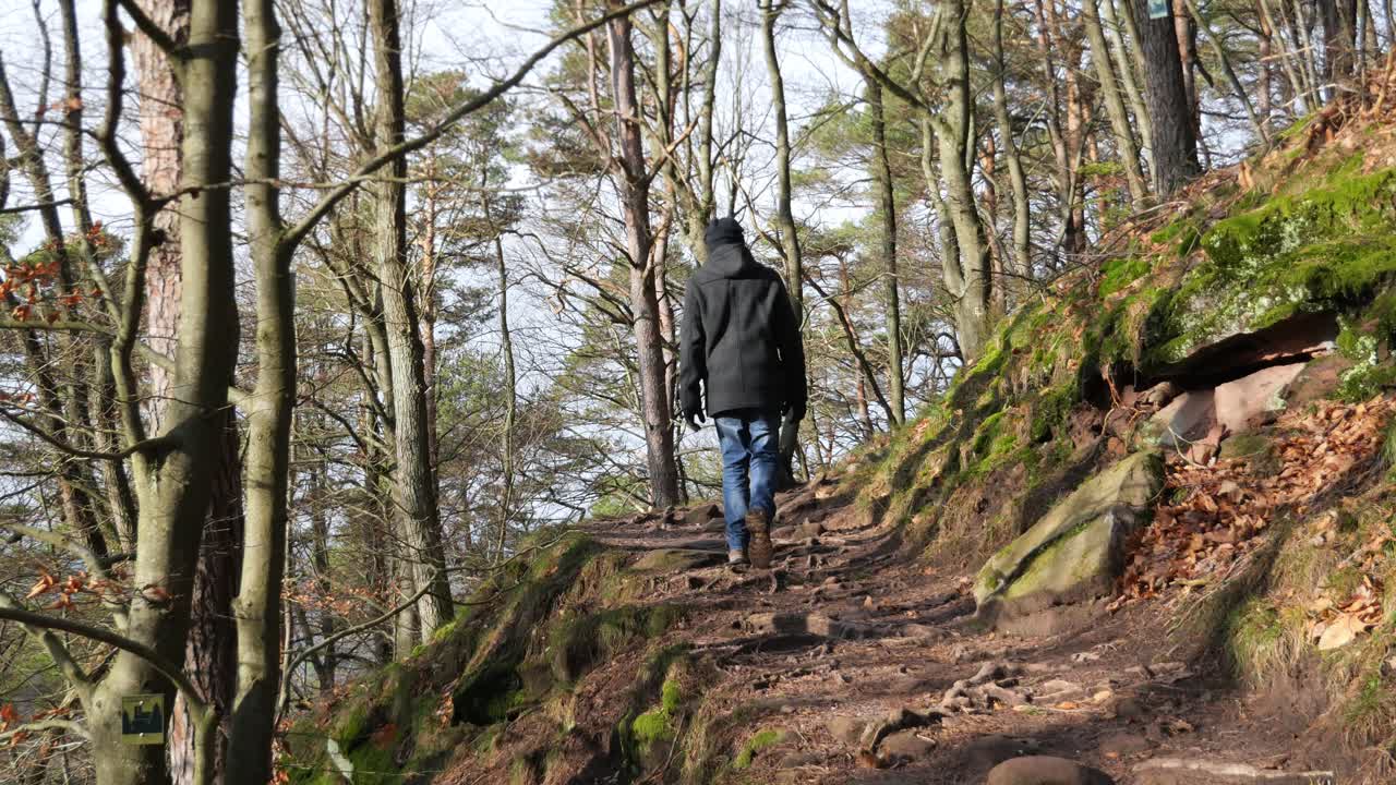 Patikoiva mies tutkimassa Pfalzin metsää.