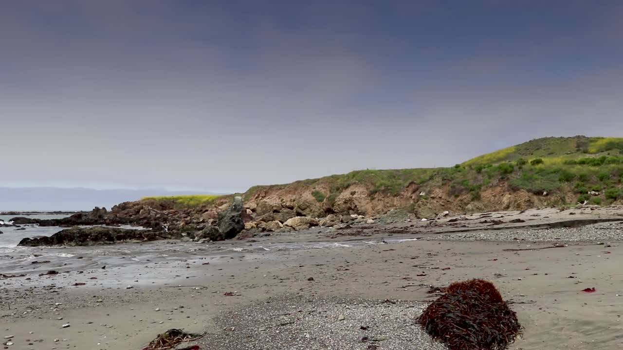 해안에서 해변보기