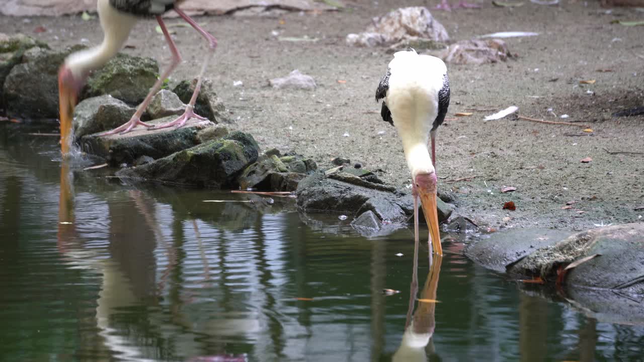 다리에 태그를 붙인 아시아 오픈빌 음식 찾기