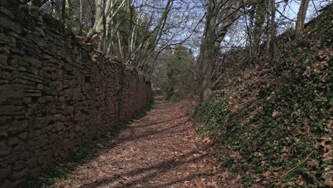 caminando por un hermoso camino en un bosque rodeado de árboles y una pared de piedra