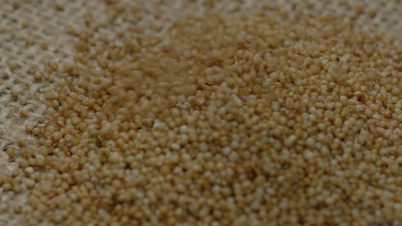 kodo millet grains falling on textured jute cloth, 4k, stable shot