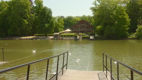 Ganso-Flotante-Cerca-De-La-Cubierta-Del-Barco-Hacia-El-Restaurante-Chalet-Robinson-En-El-Parque-Bois-De-La-Cambre-En-Bruselas,-Bélgica