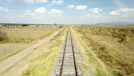 scene of railroad track ride in mexico meseta