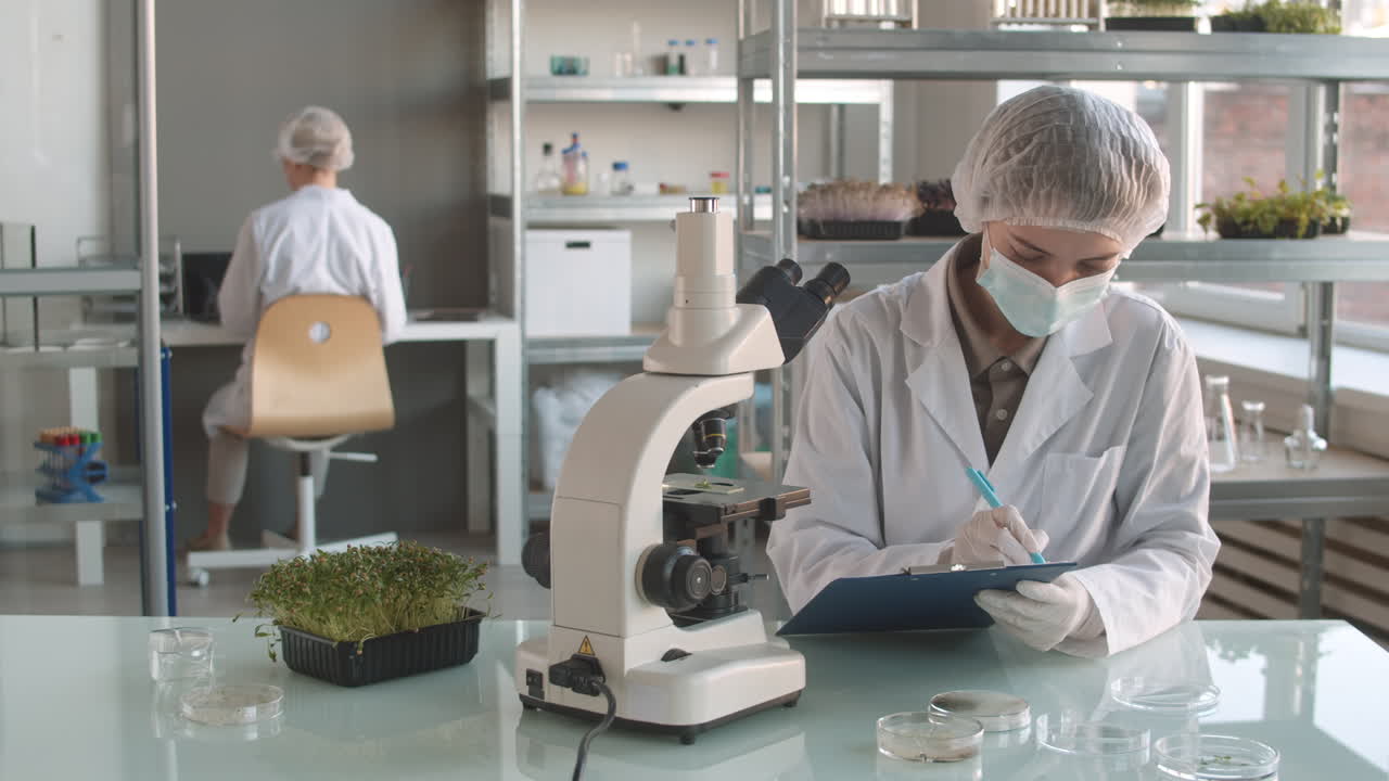 과학자들이 실험실에서 식물 기반 실험을 수행하고 있습니다.