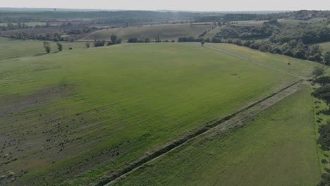 Expansive-green-field-in-Toulouse,-France-on-a-sunny-day