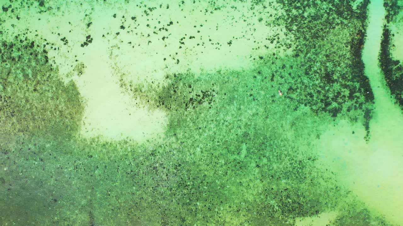 textura marina con patrones abstractos de coloridos arrecifes de coral y guijarros en el fondo del mar cerca de la costa de la isla tropical en jamaica