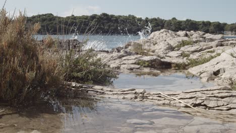 medium shot of lake with serious water shortage issue